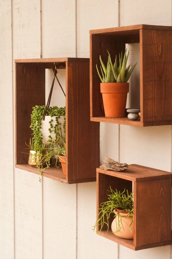 Shelves