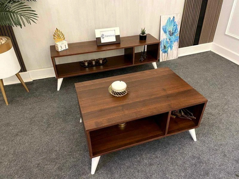 TV TABLE +COFEE TABLE