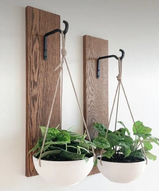 Shelves